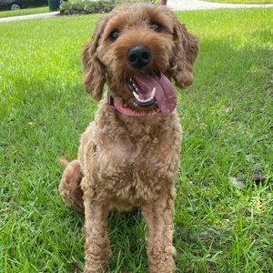 Meet your Posher, Shawna